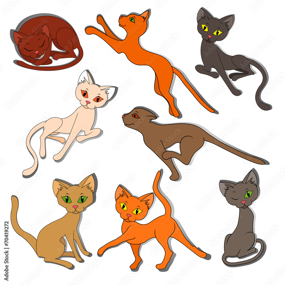 Eight colorful funny cats on a white background