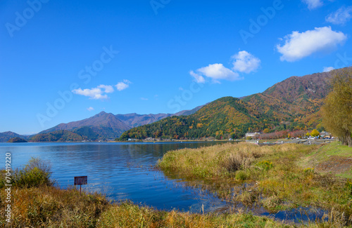 Autumn leaves along the lake Kawaguchi