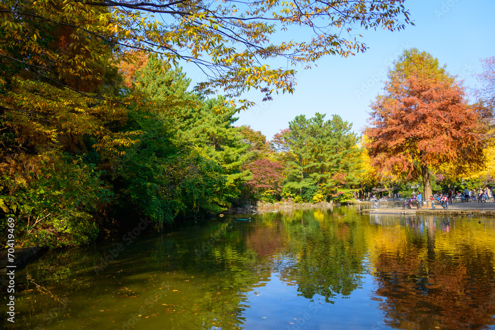 Hikarigaoka park in autumn in Tokyo