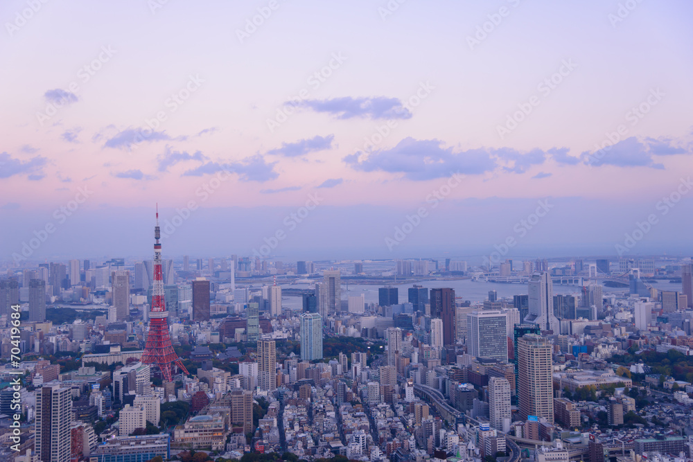 Tokyo in the twilight, direction to the Tokyo Tower and Shinagaw