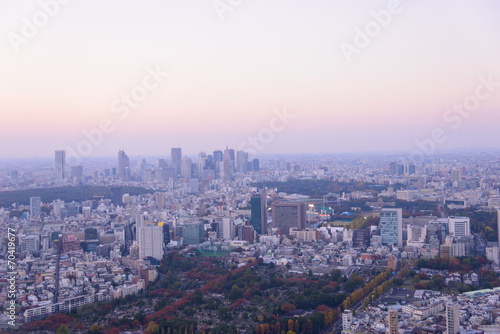 Tokyo in the twilight, direction to Shibuya, Shinjuku