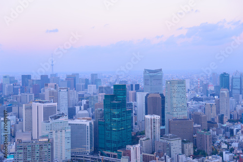 Tokyo in the twilight  direction to the Shimbashi  Ginza  Asakus