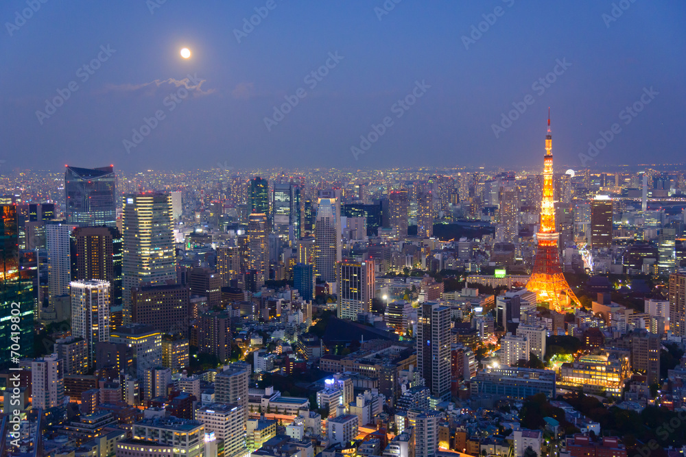 Fototapeta premium Tokio o zmierzchu, kierunek do Tokyo Tower i Shinagaw