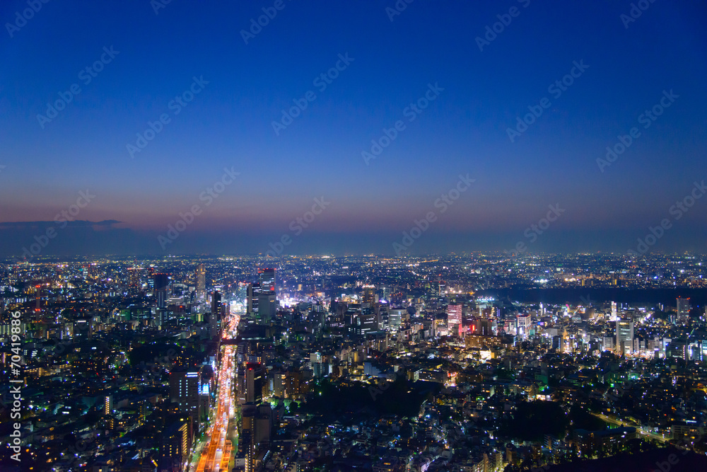 Fototapeta premium Tokyo in the twilight, direction to Shibuya, Shinjuku
