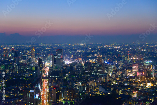 Tokyo in the twilight  direction to Shibuya  Shinjuku