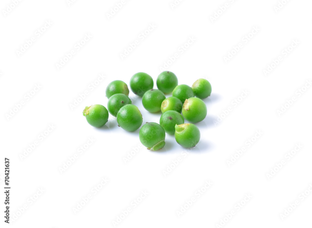 fresh green pepper on white background fresh green pepper on white background