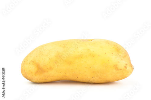 Potato