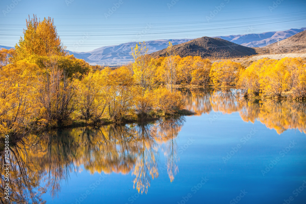 Autumn trees