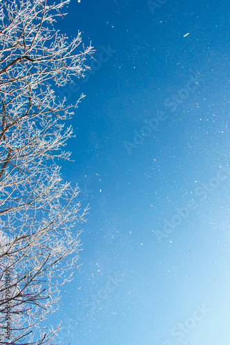 青空に舞い散る雪 © Eiki Photography