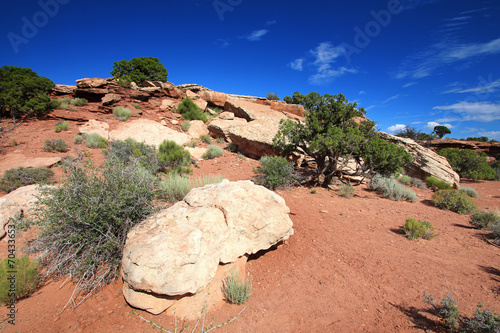 USA - Canyonlands National Park photo