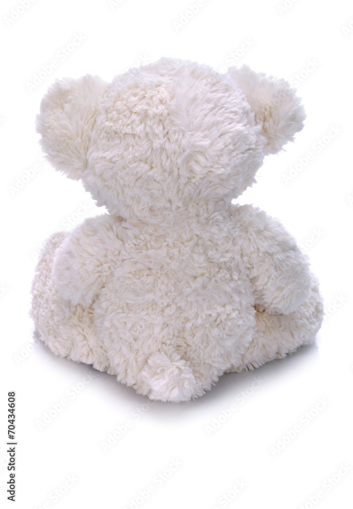 Teddy bear on a white background - obrazy, fototapety, plakaty 