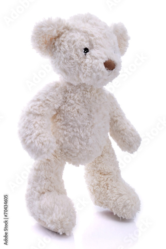 White teddy bear on a white background