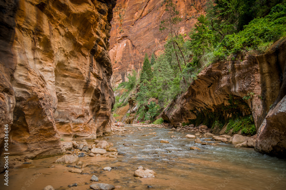 virgin river in zion national park utah