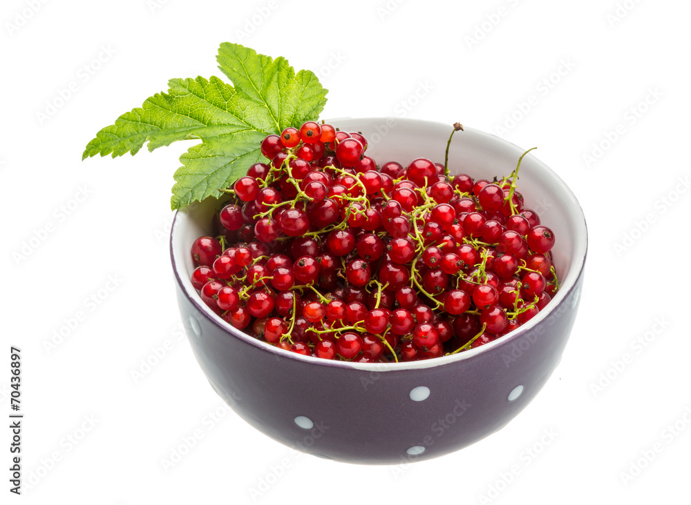 Red currant Red currant