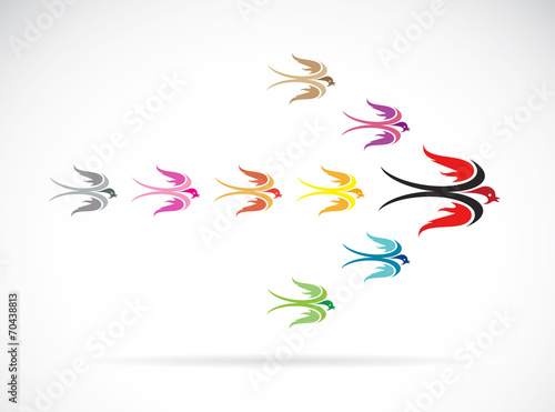 Vector group of colorful swallow birds. Teamwork concept