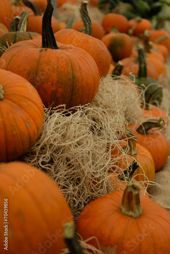 pile of pumpkins