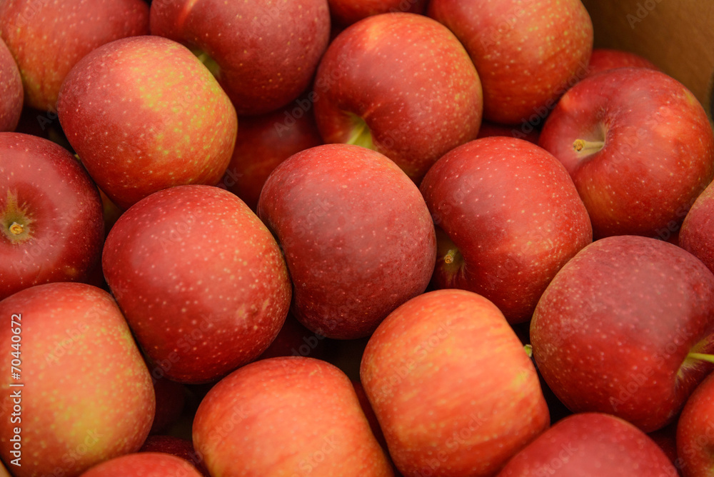 fresh market fruits and vegetables fresh market fruits and vegetables