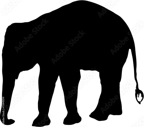 Fototapeta Naklejka Na Ścianę i Meble -  слон