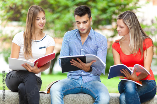 Students studying at the park