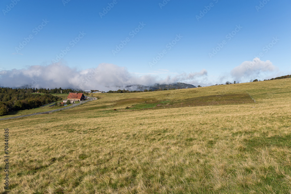 Naklejka premium paysage des Vosges