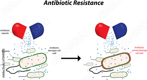 Antibiotic Resistance photo