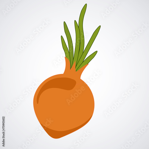 Vegetables design