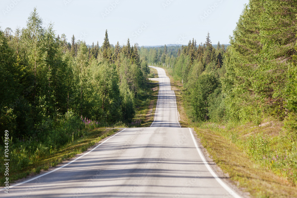 Country road in Lapland, Finland, on a sunny summer day