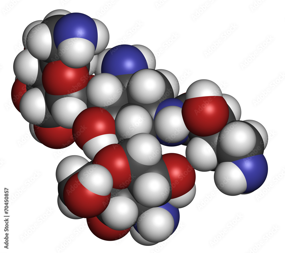 Amikacin aminoglycoside antibiotic molecule. Amikacin aminoglycoside antibiotic molecule.