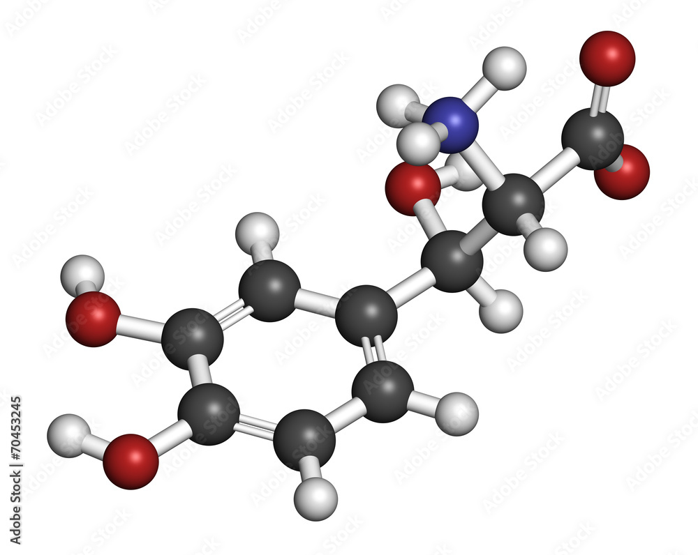 Droxidopa (L-DOPS) hypotension (low blood pressure) drug Droxidopa (L-DOPS) hypotension (low blood pressure) drug