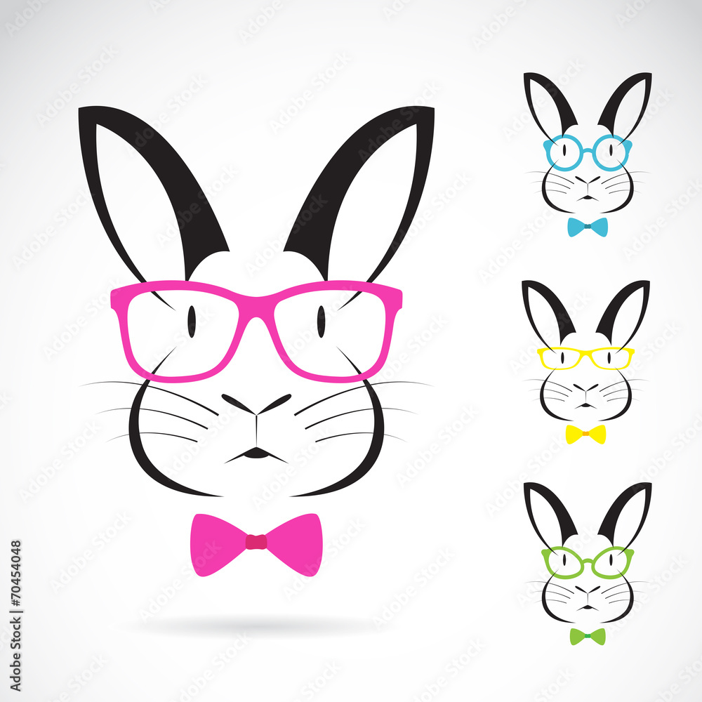 Vector image of a rabbits wear glasses