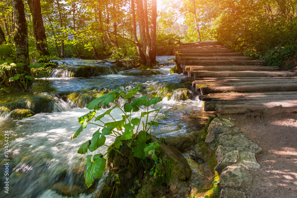Fototapeta premium Plitvice lakes of Croatia - national park