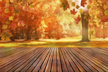 autumn background