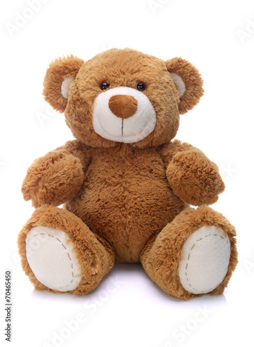 Sweet teddy bear on a white background #70465450