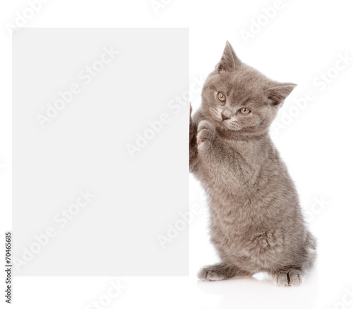 Pretty kitten peeking out of a blank sign, isolated on white bac