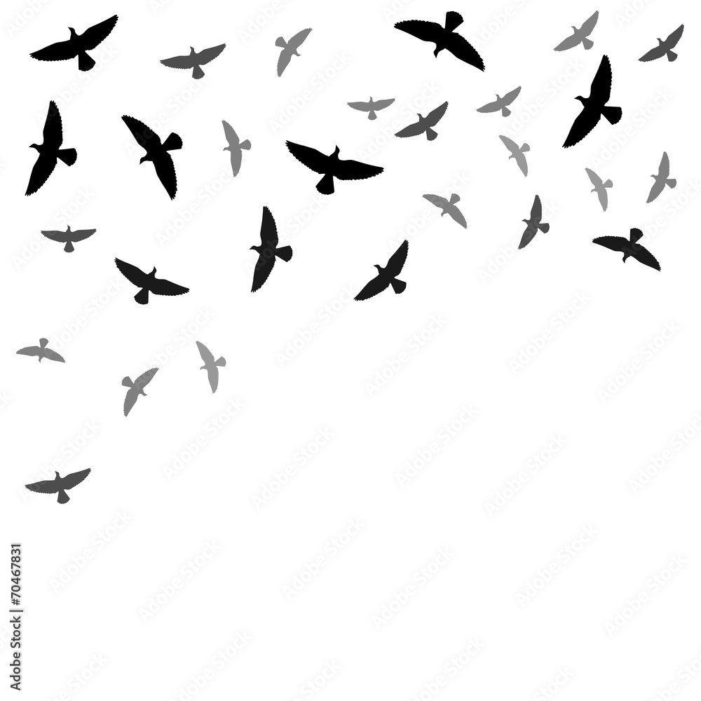 Background with birds silhouettes