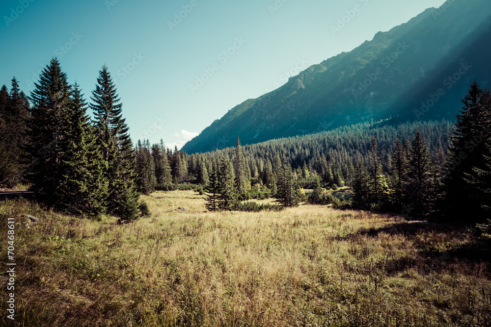 View of Tatra Mountains from hiking trail. Poland. Europe. View of Tatra Mountains from hiking trail. Poland. Europe.