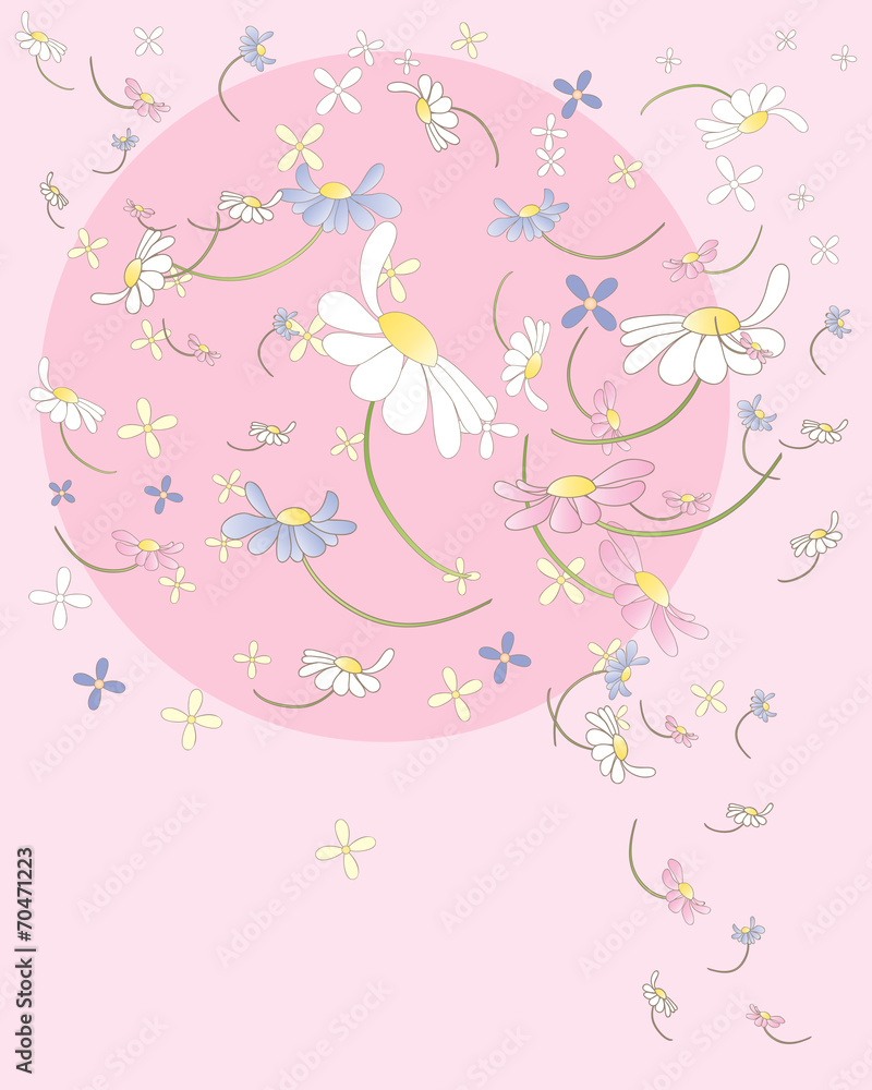 daisy confetti daisy confetti