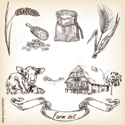 Farm set. Hand drawn illustration of cow, house, sack, grain