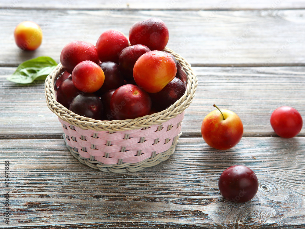 full basket of summer plums full basket of summer plums