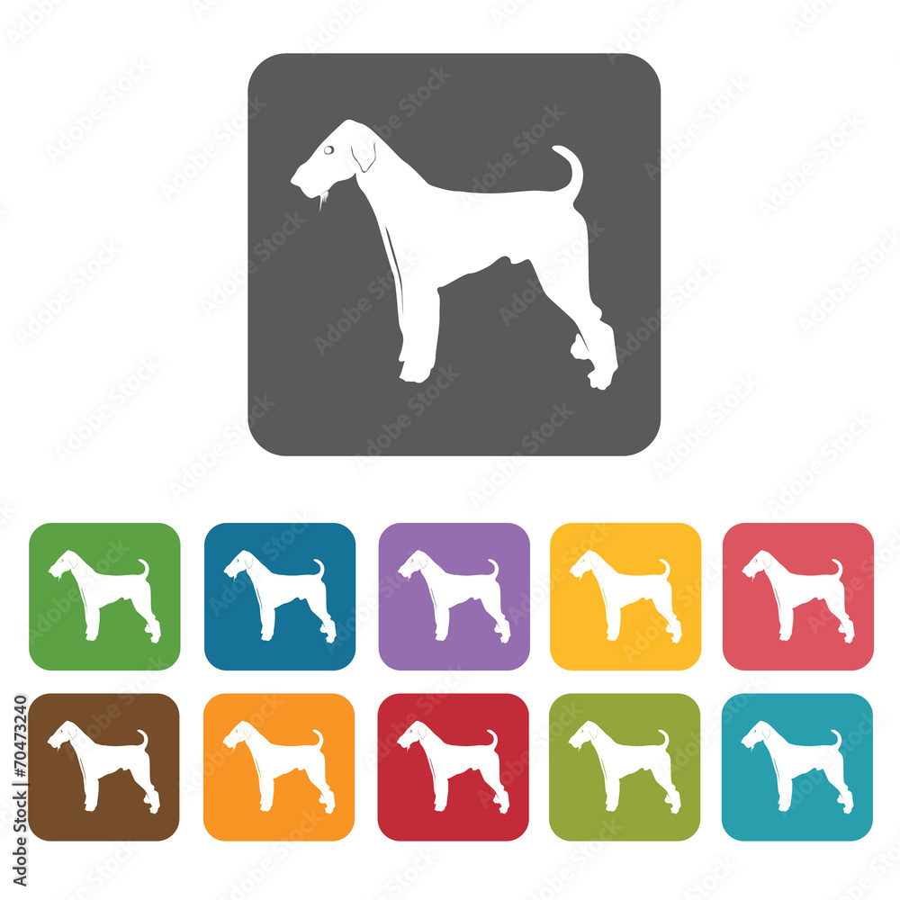 Terrier icon. Dog icons set. Rectangle colourful 12 buttons. Vec