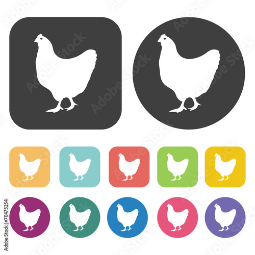 Chicken icon. Farming icon set. Round and rectangle colourful 12