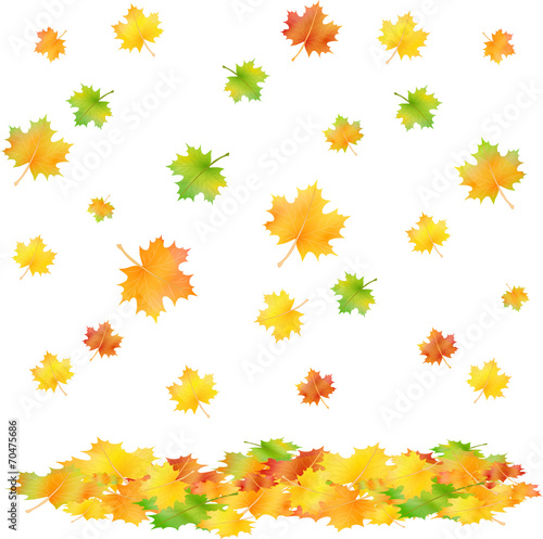 bunte Herbstblätter fallen
