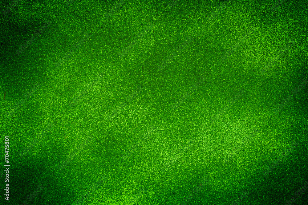 Fototapeta premium Green texture background