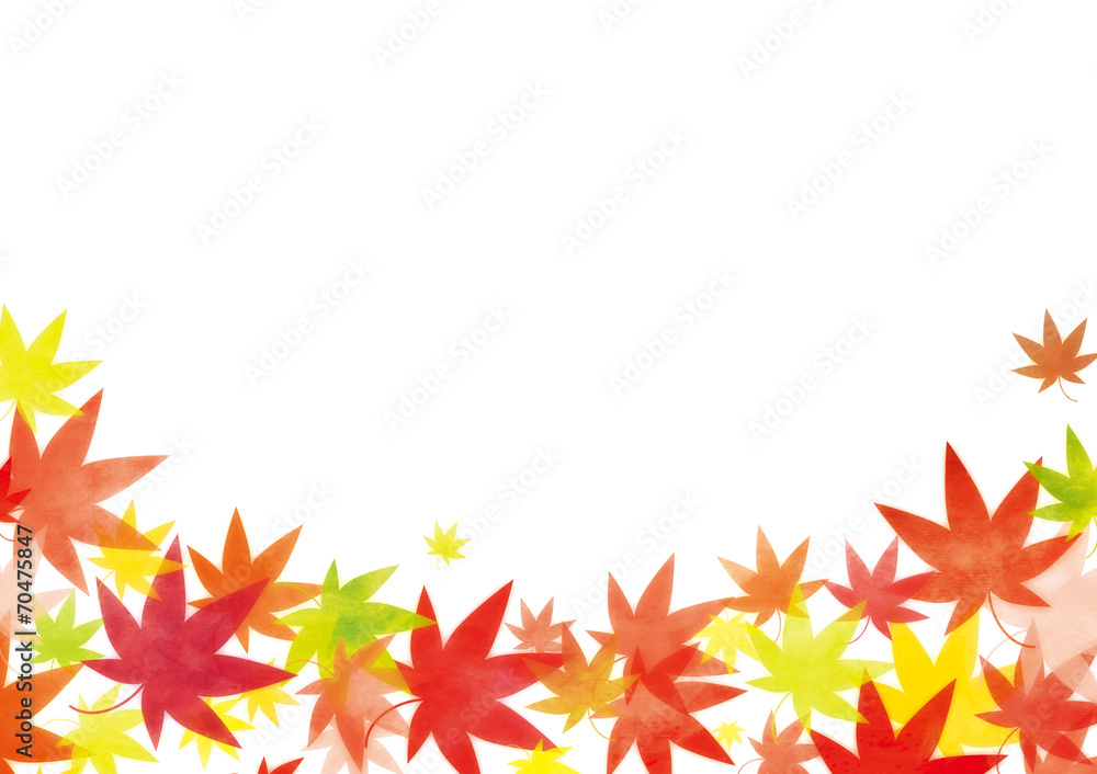 紅葉背景 紅葉背景
