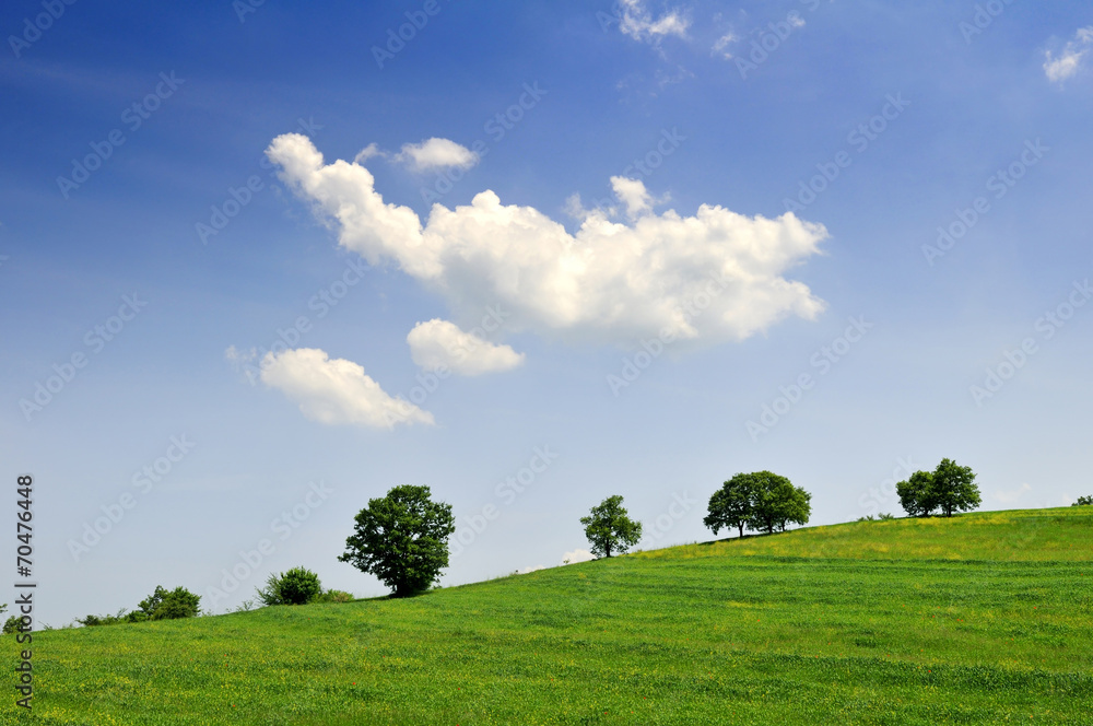 Landscape Background