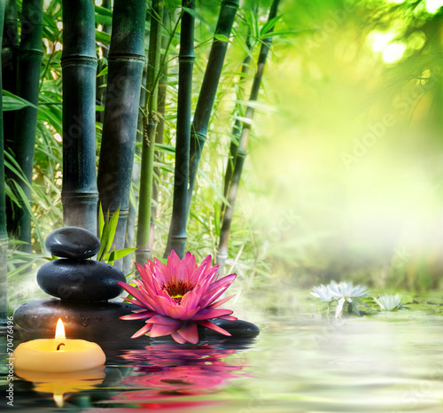 massage in nature - lily, stones, bamboo - zen concept