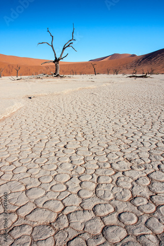 saltlake desert africa