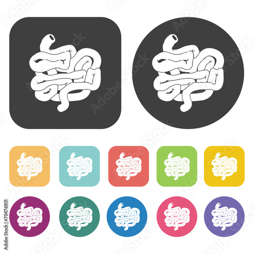 Intestines icon. Human organ icons set. Round and rectangle colo