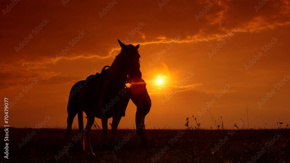 Horseback riding to the horizon at sunset Horseback riding to the horizon at sunset