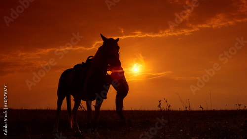 Horseback riding to the horizon at sunset